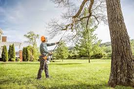 Professional  Tree Services in Falls Creek, PA